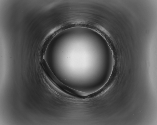 X0000085300922200703091428