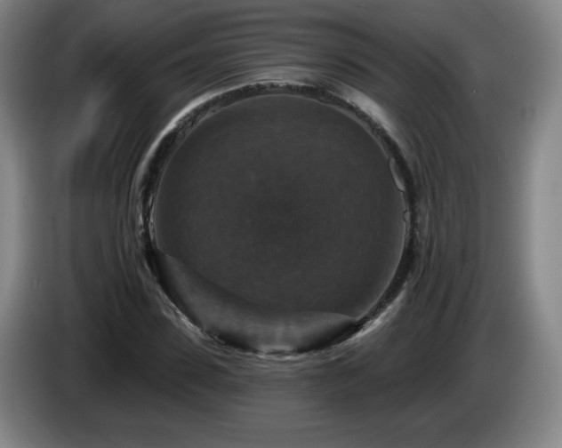 X0000085300923200703091428