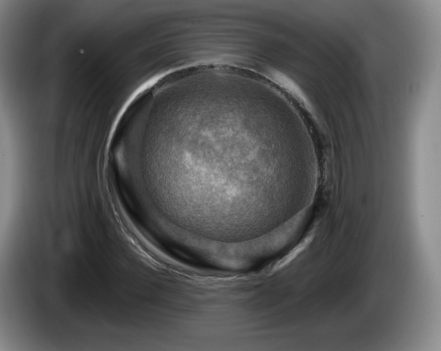 X0000085300924200703091428