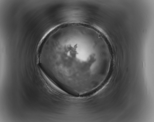 X0000085300925200703091428