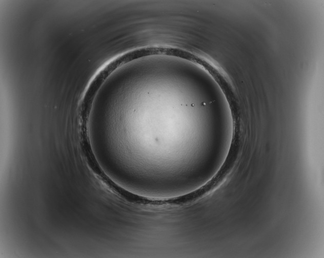 X0000085300926200703091428