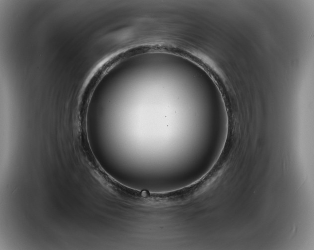 X0000085300927200703091428