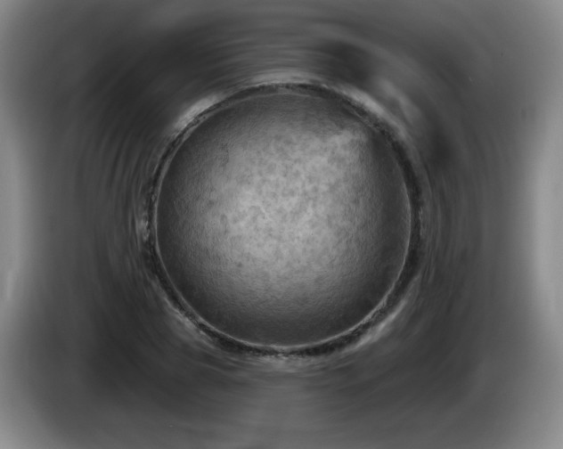 X0000085300929200703091429