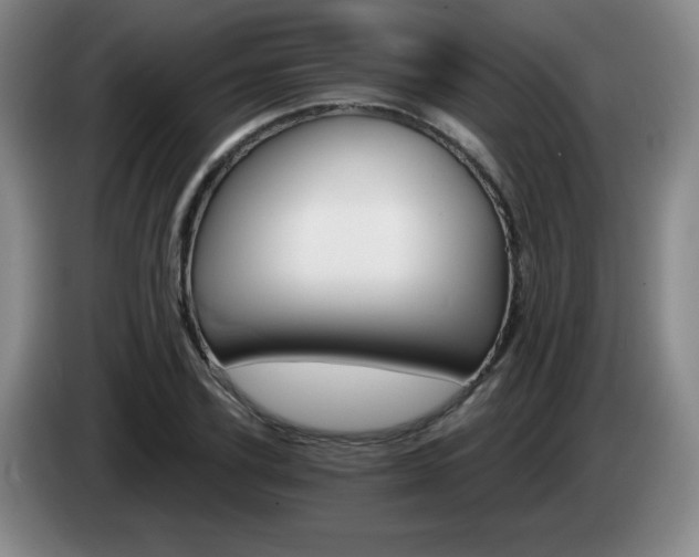 X0000085300931200703091429