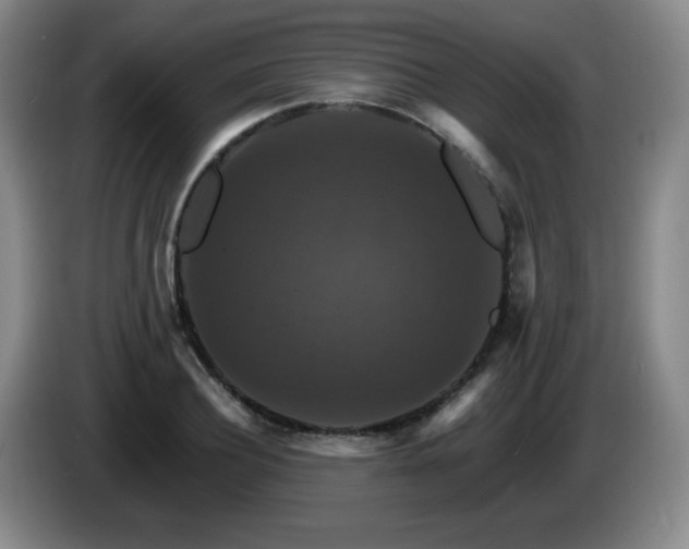 X0000085300932200703091429