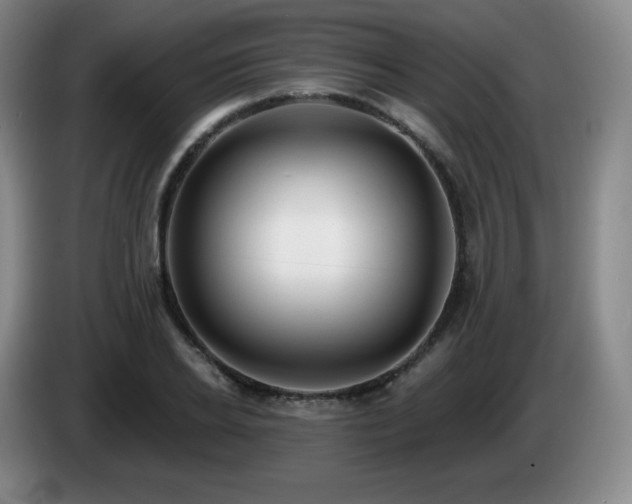 X0000085300934200703091429