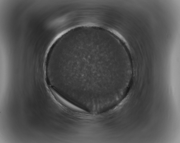 X0000085300935200703091429