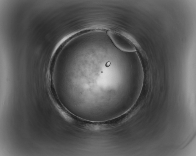 X0000085300936200703091429