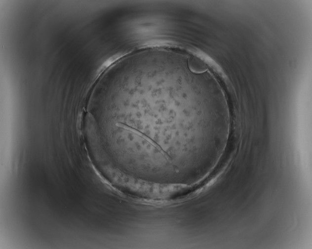 X0000085300937200703091429