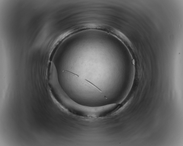 X0000085300938200703091429