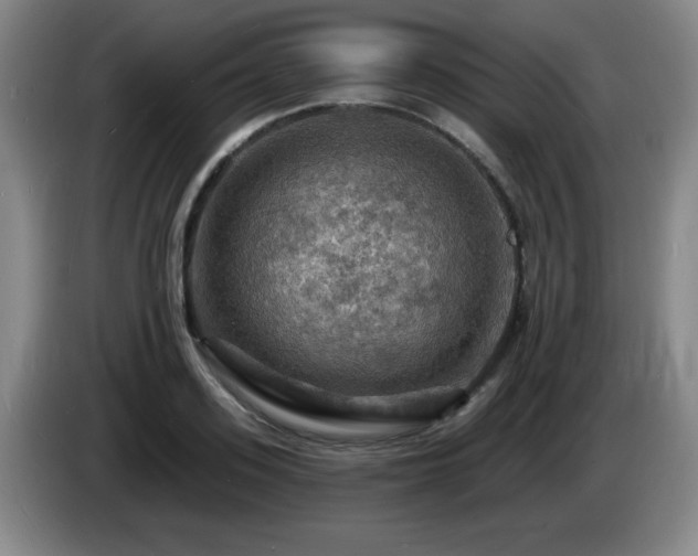 X0000085300939200703091429