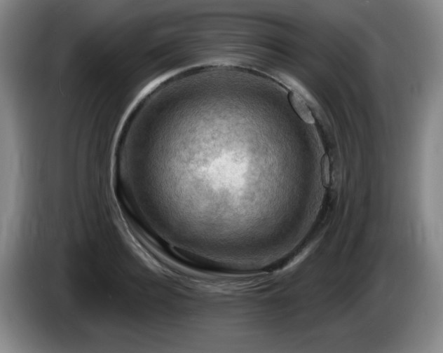 X0000085300940200703091429