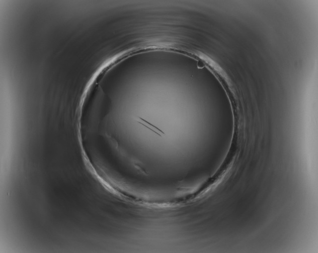 X0000085300941200703091429