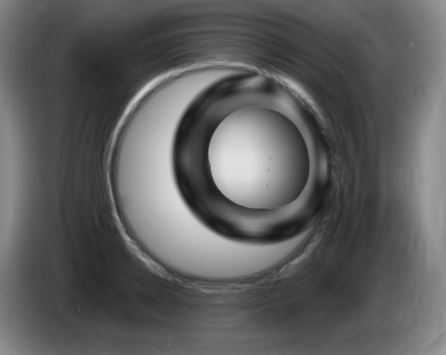 X0000085300942200703091429