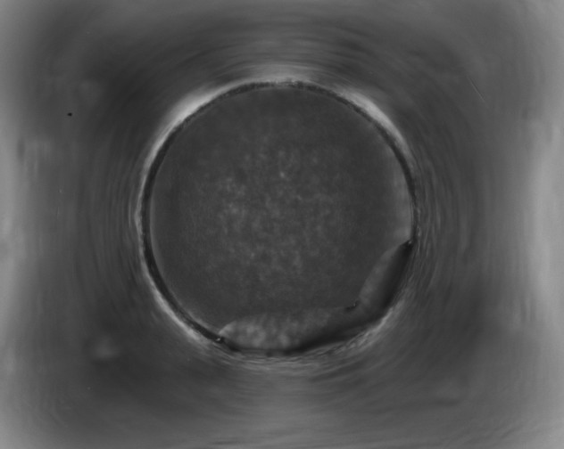 X0000085300943200703091429