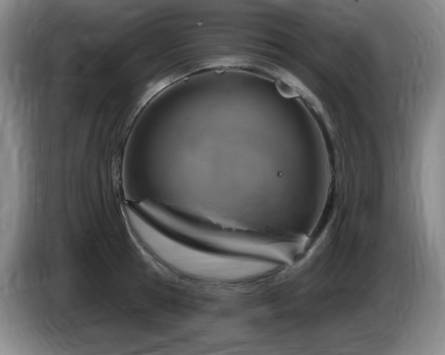 X0000085300945200703091429