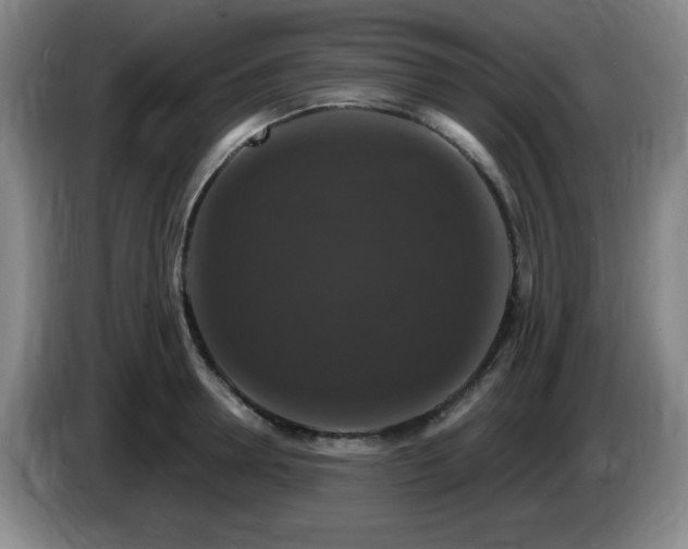 X0000085300946200703091429