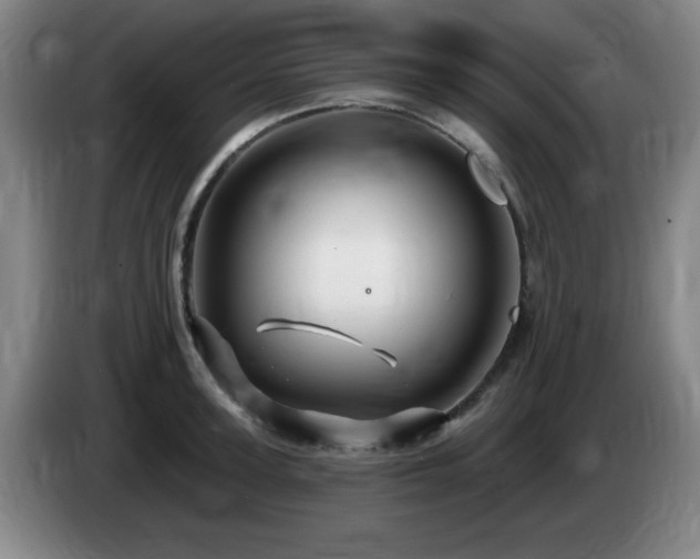 X0000085300947200703091429