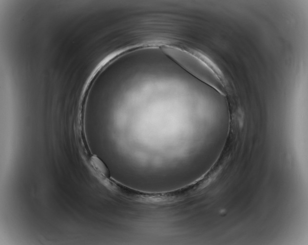 X0000085300948200703091429