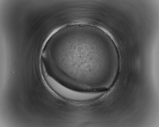 X0000085300949200703091429