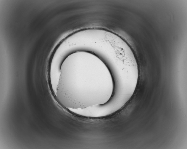 X0000085300950200703091429