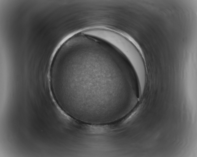 X0000085300951200703091429