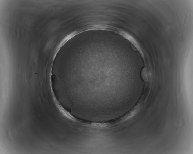 X0000085300954200703091429