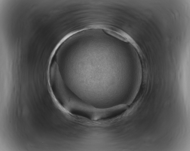 X0000085300955200703091429