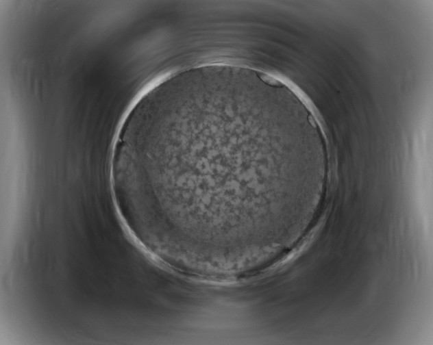 X0000085300957200703091429