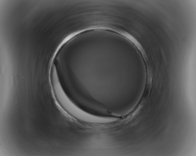 X0000085300958200703091429