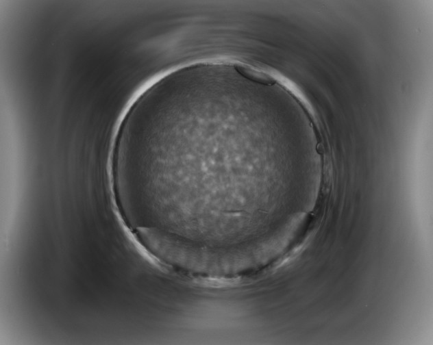 X0000085300959200703091429