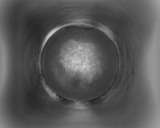 X0000085300960200703091429