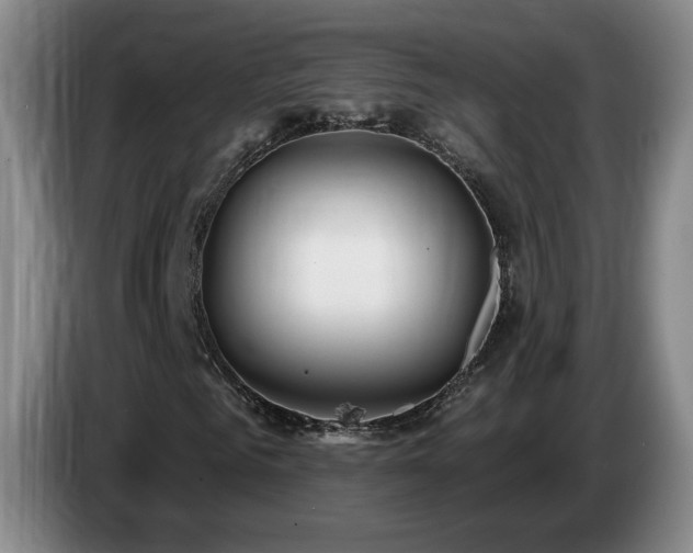 X0000085300961200703091428