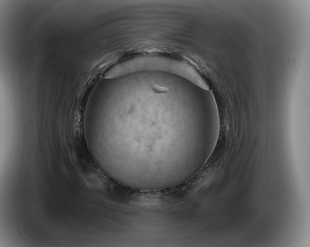 X0000085300964200703091428