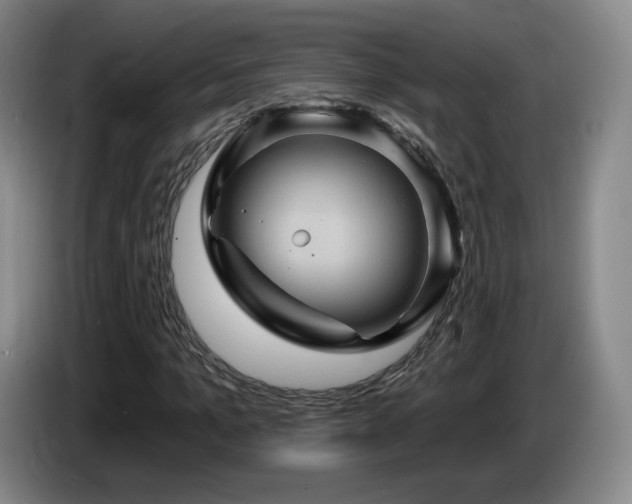 X0000085300965200703091428