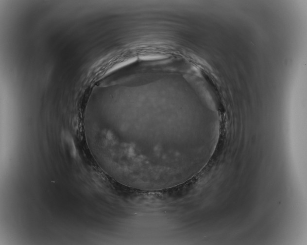 X0000085300966200703091428