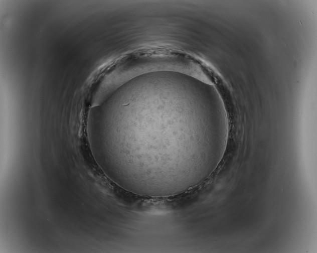 X0000085300967200703091428