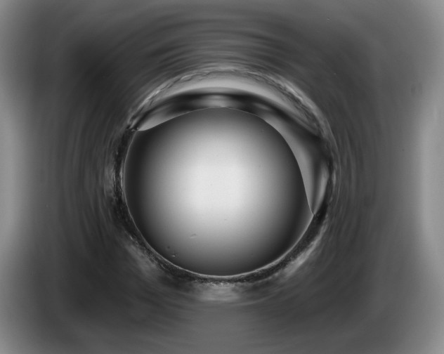 X0000085300969200703091428