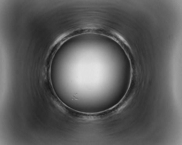 X0000085300970200703091428