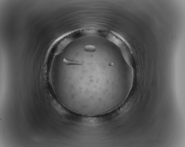 X0000085300971200703091428