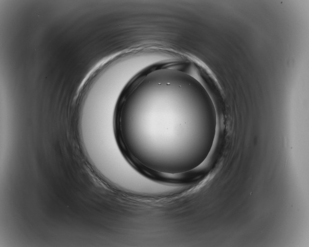 X0000085300973200703091428