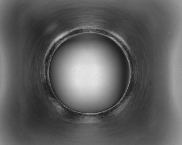 X0000085300974200703091428