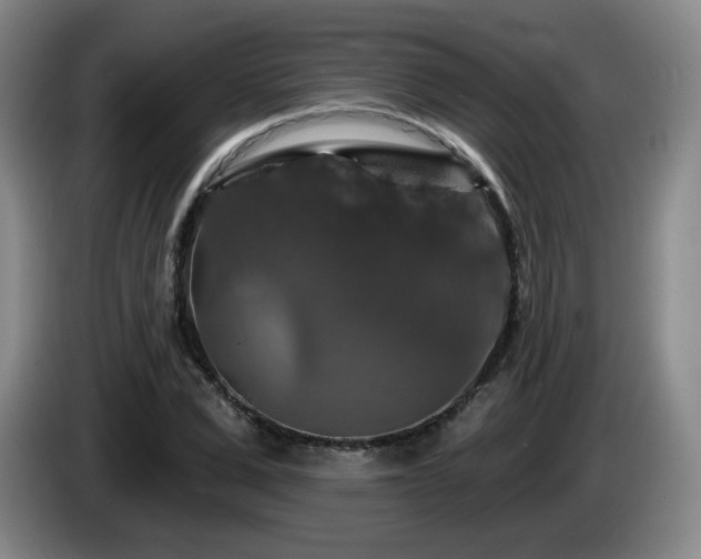 X0000085300975200703091428