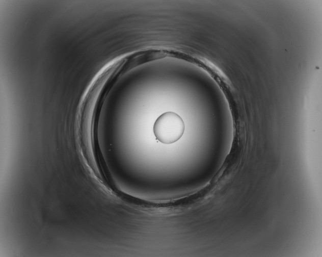 X0000085300976200703091428