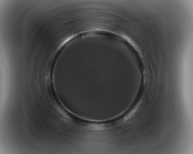 X0000085300977200703091428