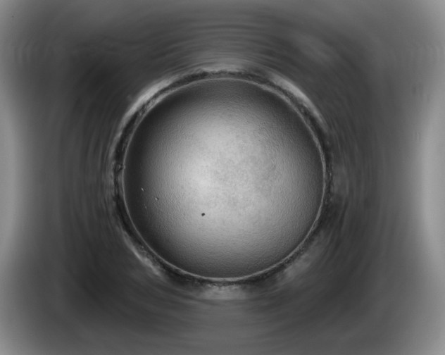 X0000085300978200703091428