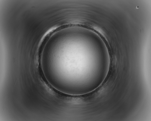 X0000085300979200703091428