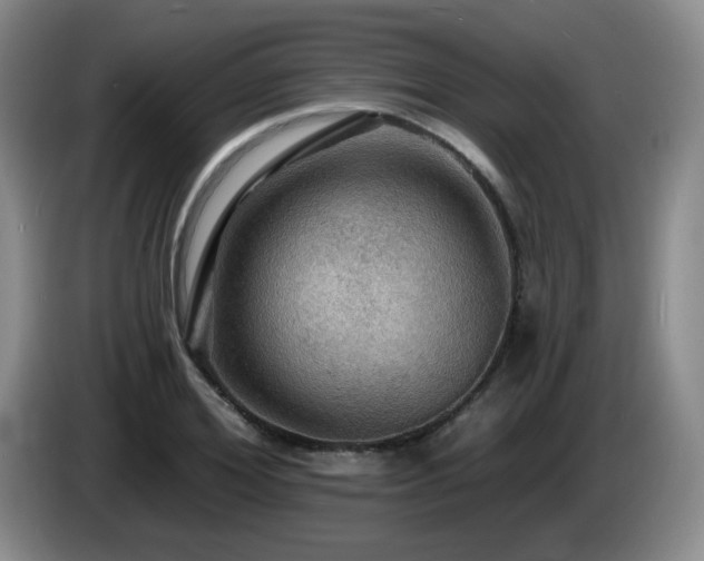 X0000085300980200703091428