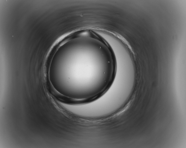 X0000085300981200703091428