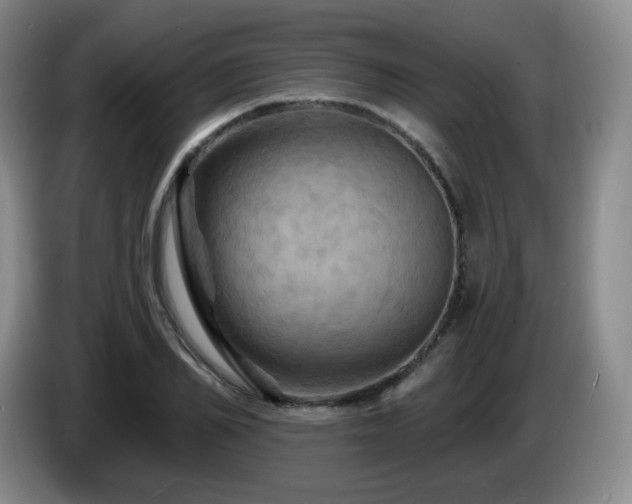 X0000085300982200703091428